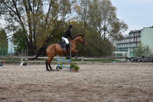 bABIE lATO 2018